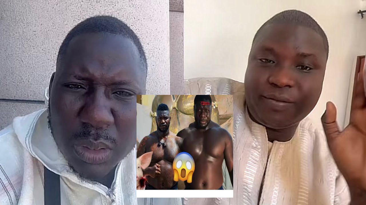 Alahou akbar serigne Cissé wakh naa Lou reuy si combat 🫢bi : Tapha Tine dina ko… si 1munt🤦‍♂️