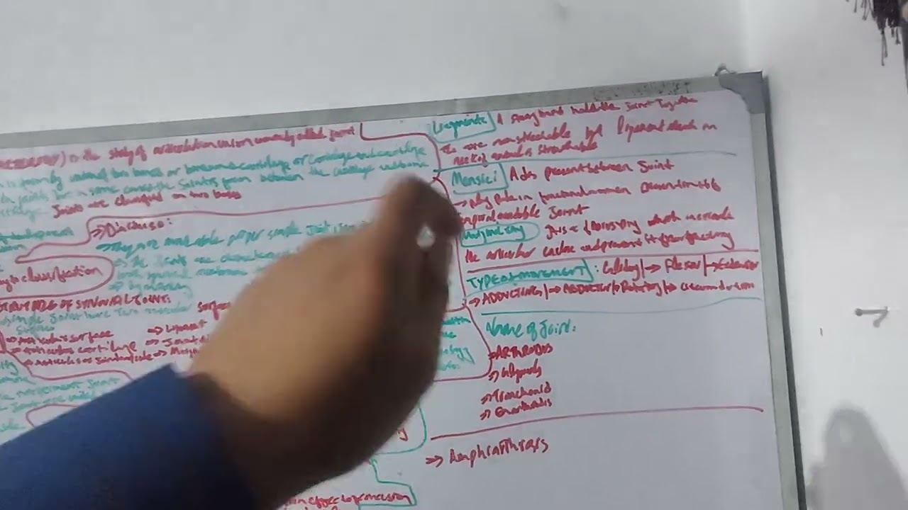 Arthrology part 2 anotmy 