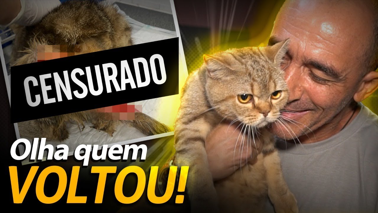 O GARFIELD FINALMENTE VOLTOU PARA CASA! | A CASA DOS BICHOS