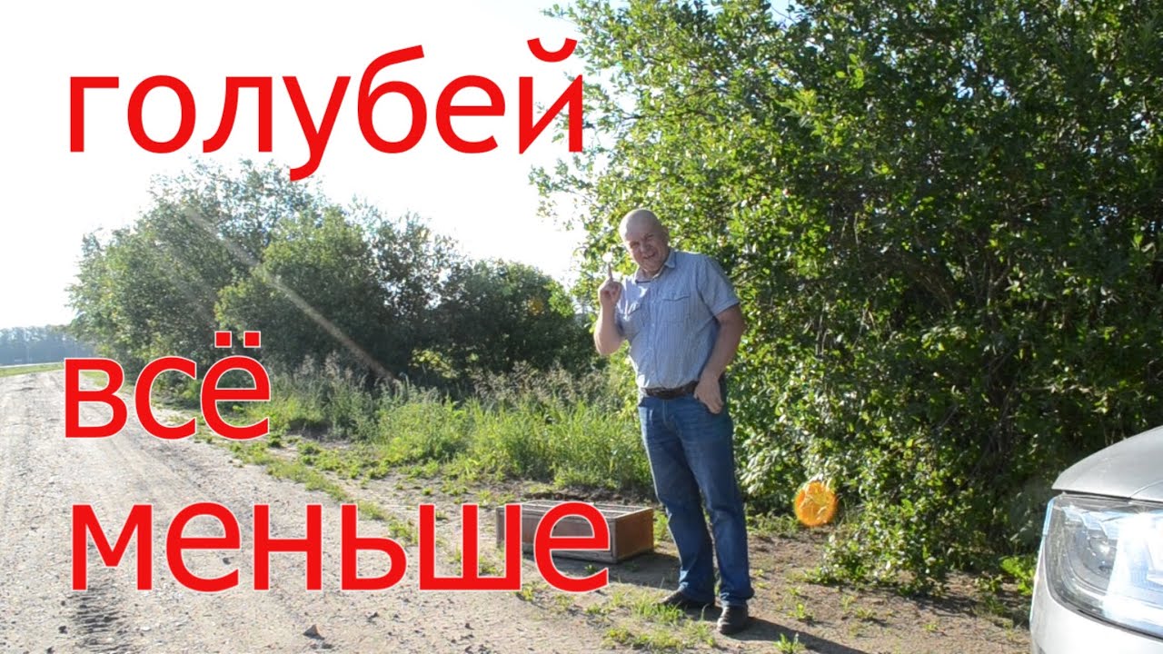 ЛУЧШЕ МЕНЬШЕ ДА ЛУЧШЕ