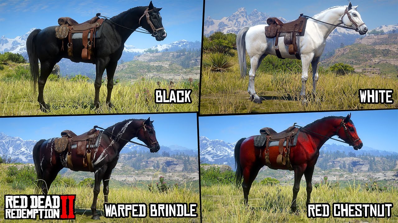 Лучшие лошади в RDR2, которых вы должны иметь! (Арабские)