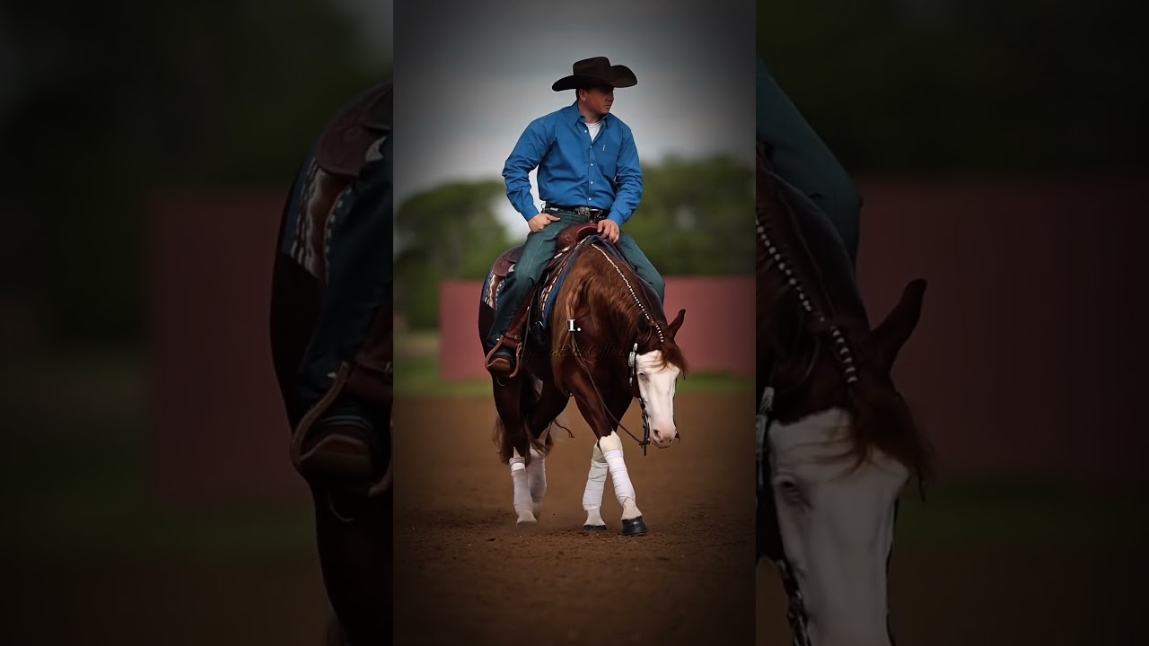 Choose Your Western Horse #tiktok #equestrian #horse #shorts #edit