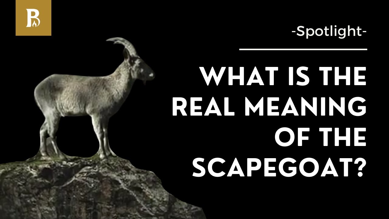 What is the Real Meaning of the 