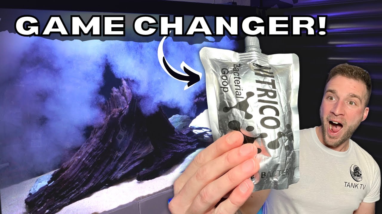 The Ultimate Way To Instantly Cycle Your Aquarium!