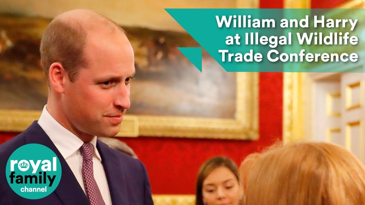 Prince William and Prince Harry attend Illegal Wildlife Trade Conference reception