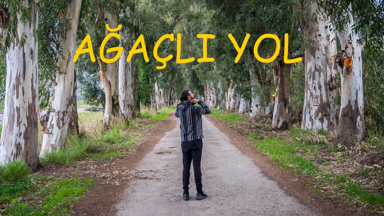 Türkiye'nin En Güzel  Yolu - Gökova Akçapınar Ağaçlı Yol - 4K Cinematic Drone Görüntüleri