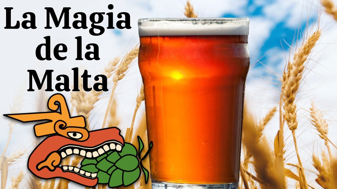 Proceso de malteado de granos para cerveza