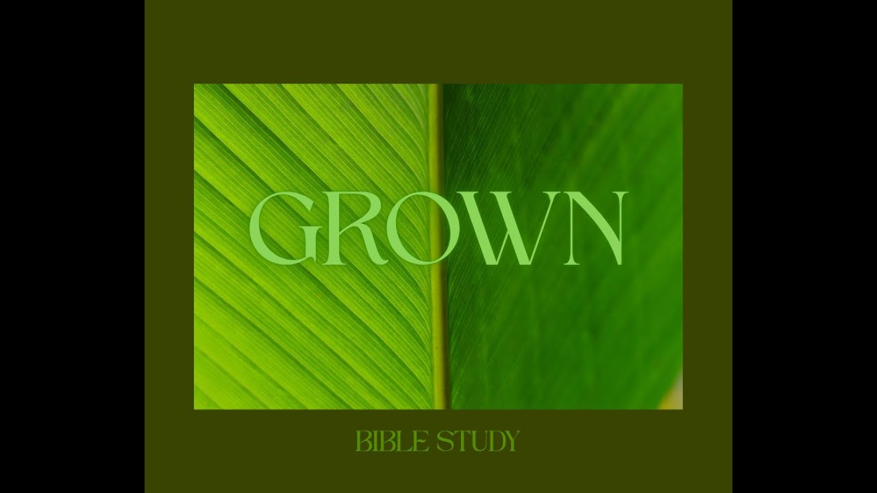 Bible Study | 