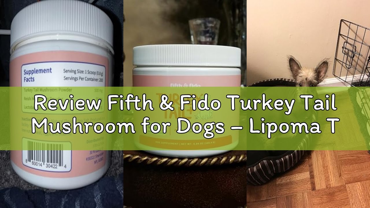 Review Fifth & Fido Turkey Tail Mushroom for Dogs – Lipoma Treatment for Dogs - Mushroom Supplement