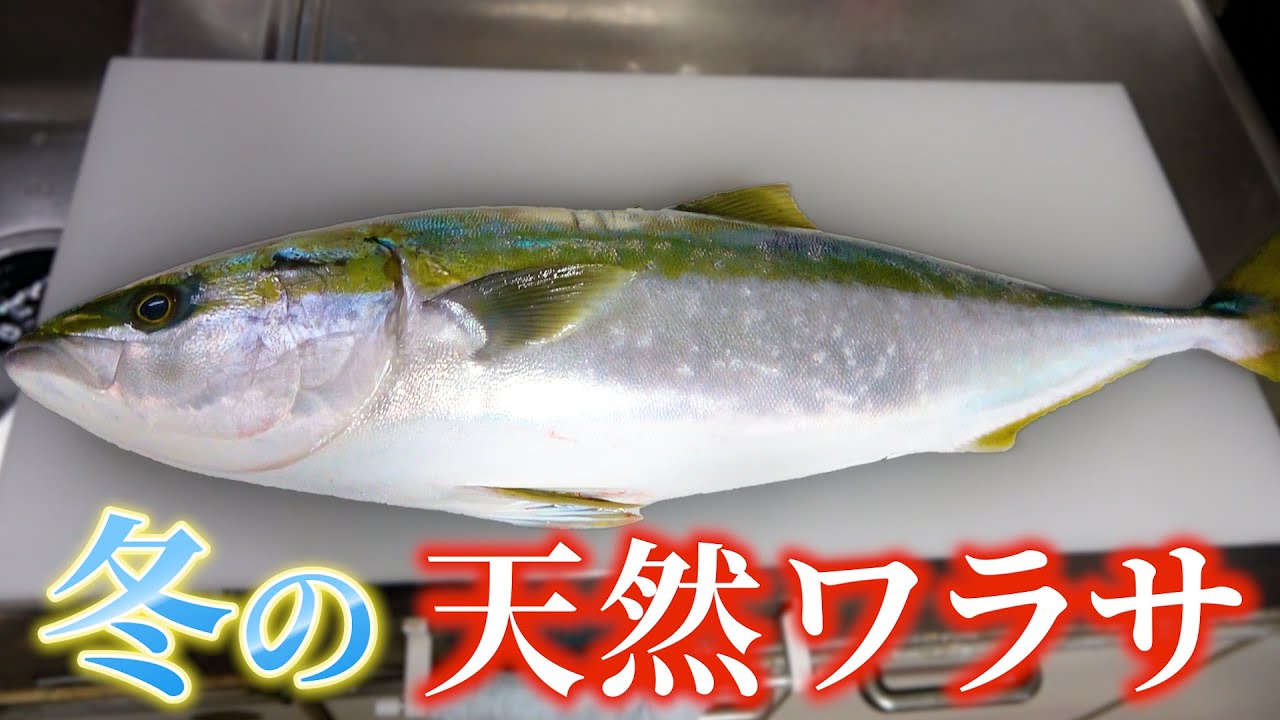 【ワラサと牡蠣】身が見えないくらいの大根おろしでみぞれ鍋を作ったよ！