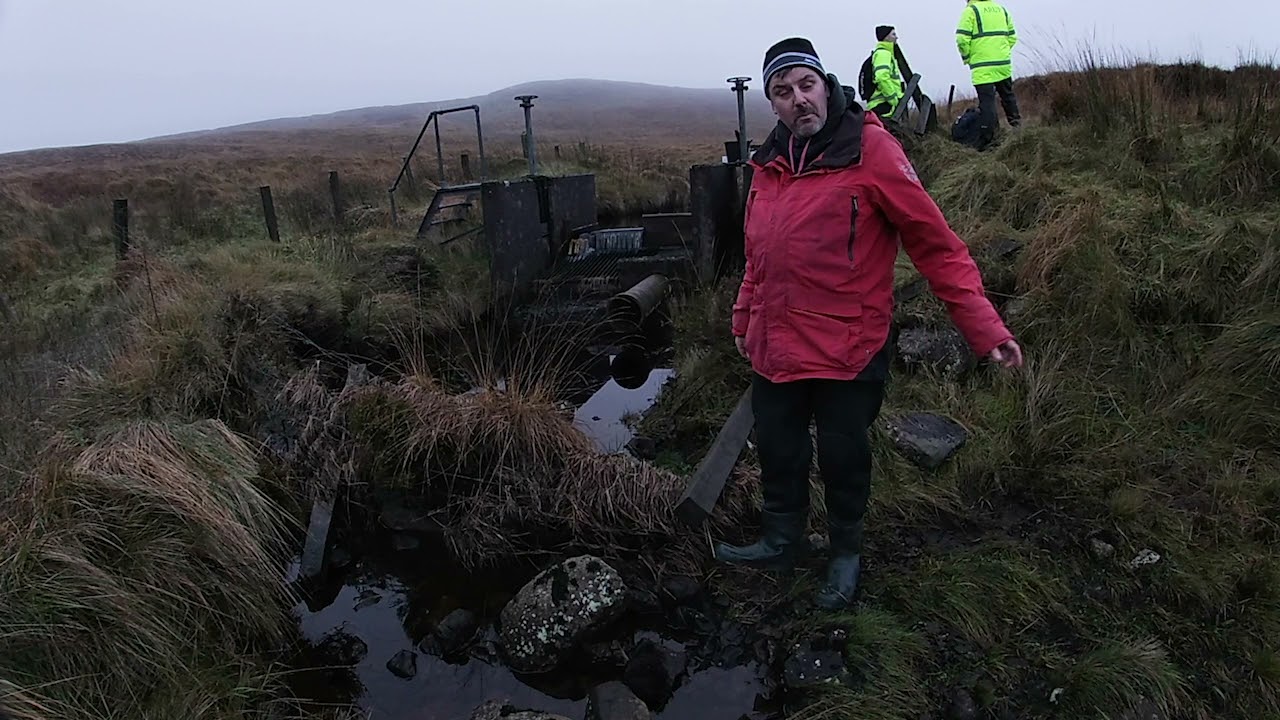 Blanket Bog Hydrology and Ecosystem Services