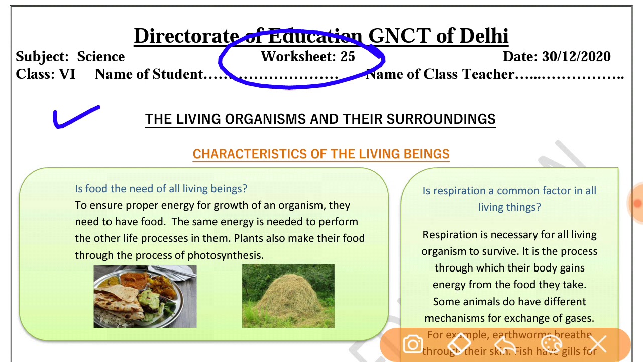 WORKSHEET- 25, CLASS-6.SCIENCE- ENGLISH MEDIUM (30/12/2020), (WEDNESDAY), DOE WORKSHEET-25, CLASS-6