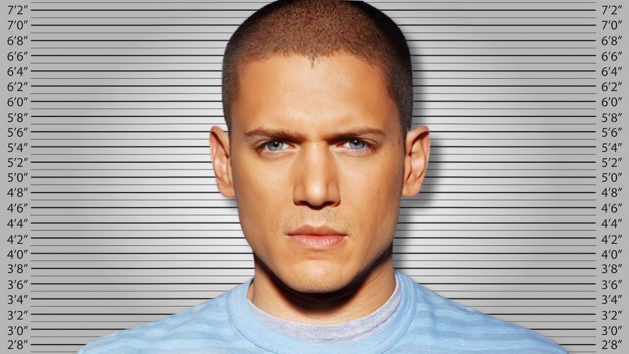 If Michael Scofield Was Charged For His Crimes