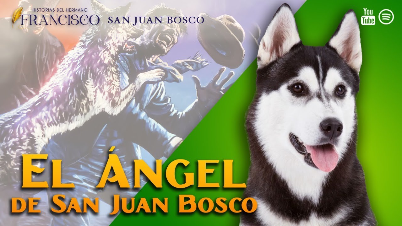 El Rescate Inesperado: El Perro que salvó a SAN JUAN BOSCO 008° Historias del Hermano Francisco