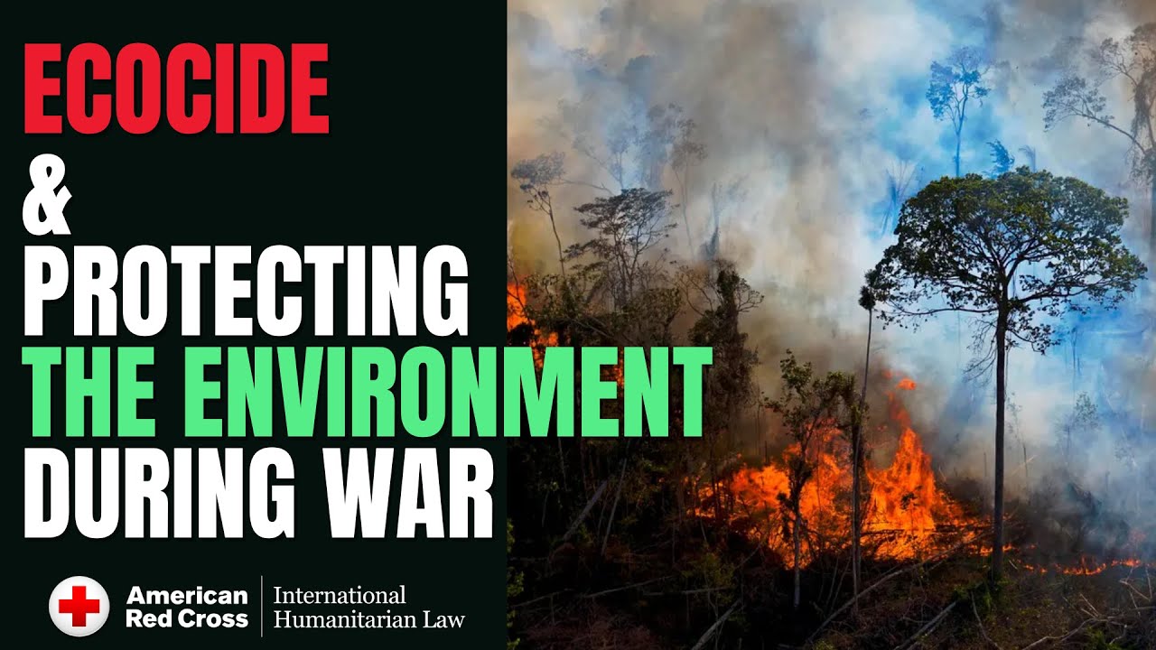 Ecocide: Protecting the Environment during Armed Conflict