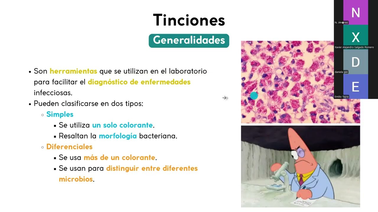 Inmunobiología | EMIS 2 (2026) – Semana 3
