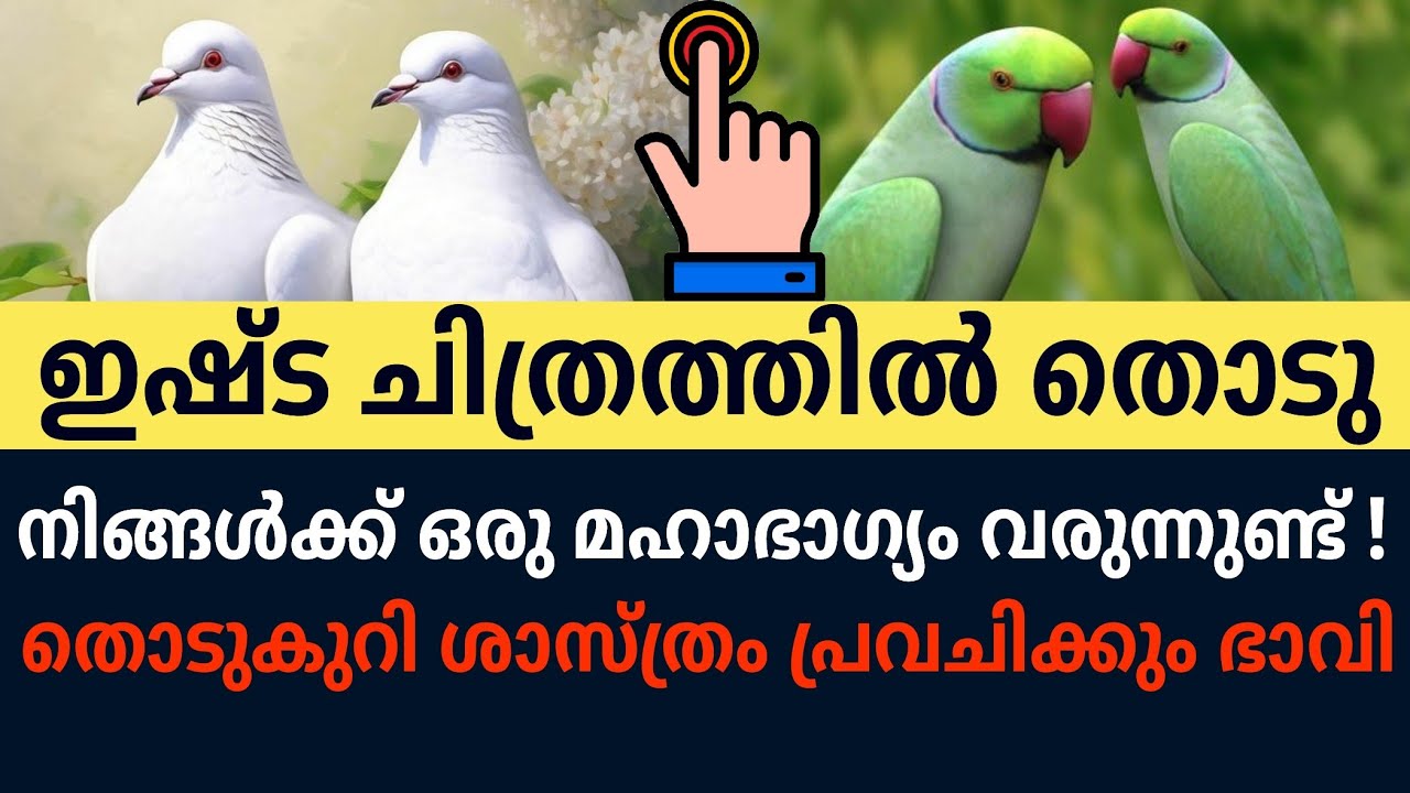 പ്രാവോ അതോ തത്തയോ? ഒന്നുമാത്രം തിരഞ്ഞെടുക്കൂ. നിങ്ങളുടെ ഭാവിയെപ്പറ്റി അറിയാം (തൊടുകുറി ശാസ്ത്രം)
