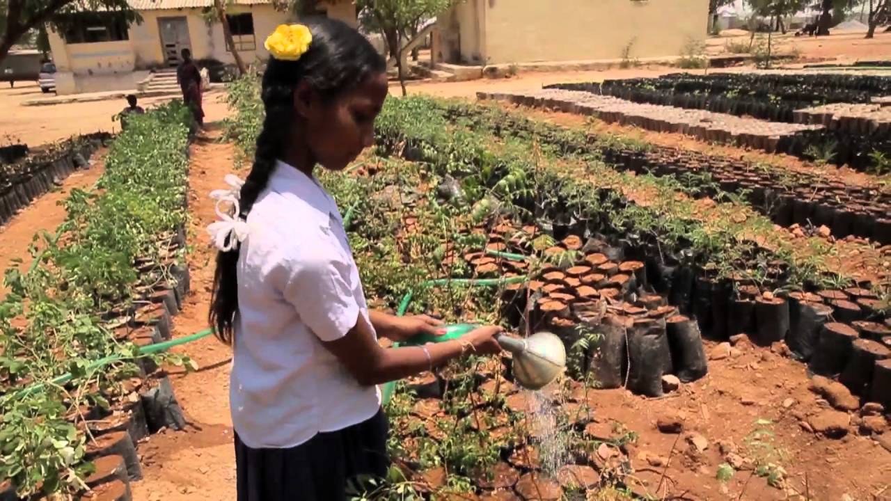 Swachh Vidyalaya - Ananthapur (Andhra Pradesh)