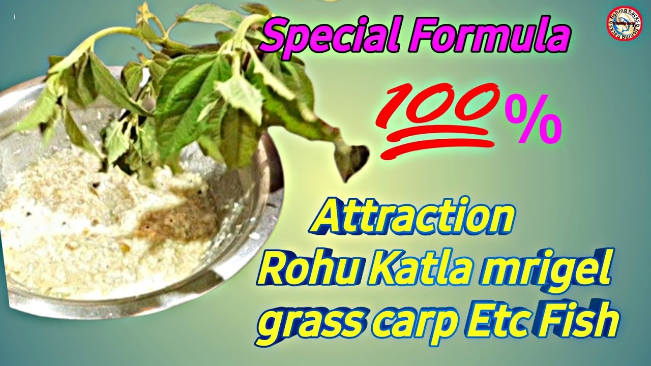 Special Formula Charai And Bite /Top Rohu Katla Mrigel Grass carp Verity Fish Attraction ✅️