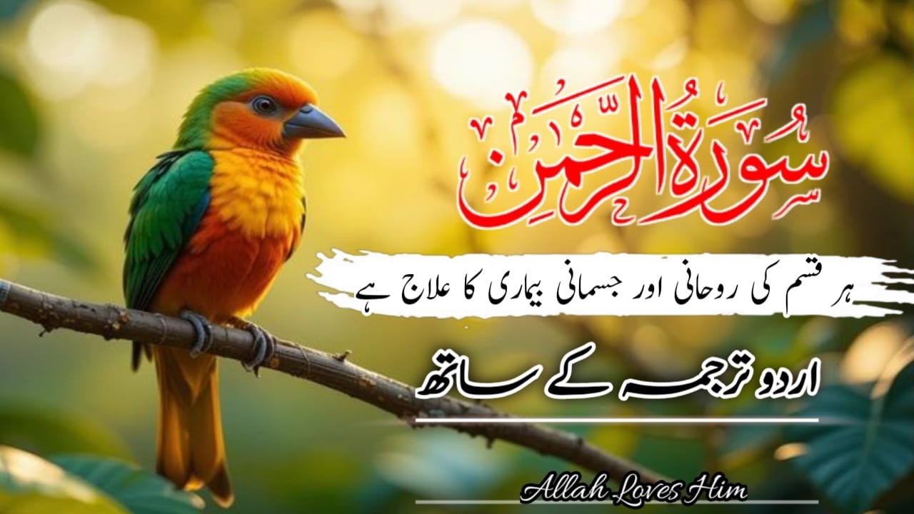 Surah Rahman Urdu Tarjuma k Sath🌿 | Qari Al Sheikh Abdul Basit Abdul Samad | AlQuran Studio