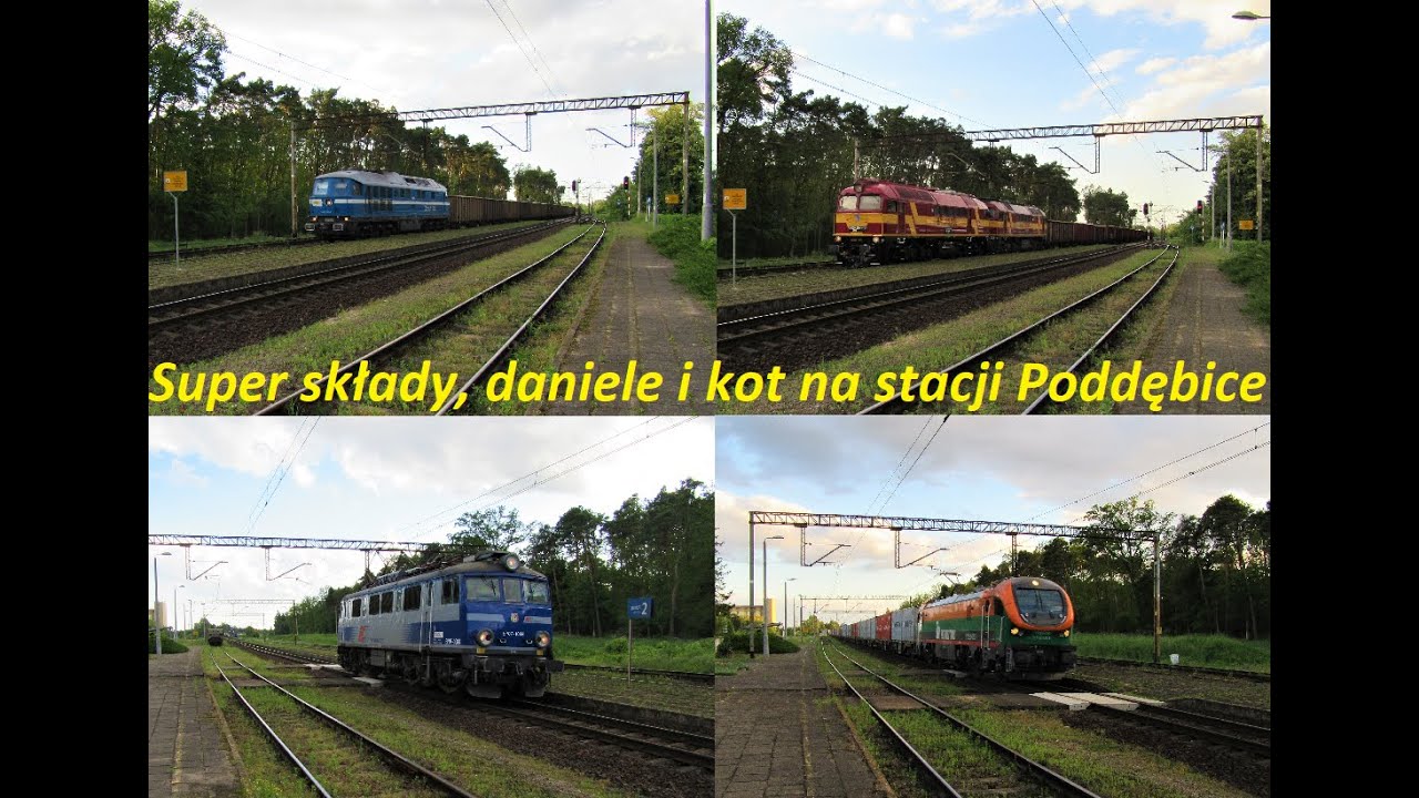 Super składy, daniele i kot na stacji Poddębice [!OPIS!]