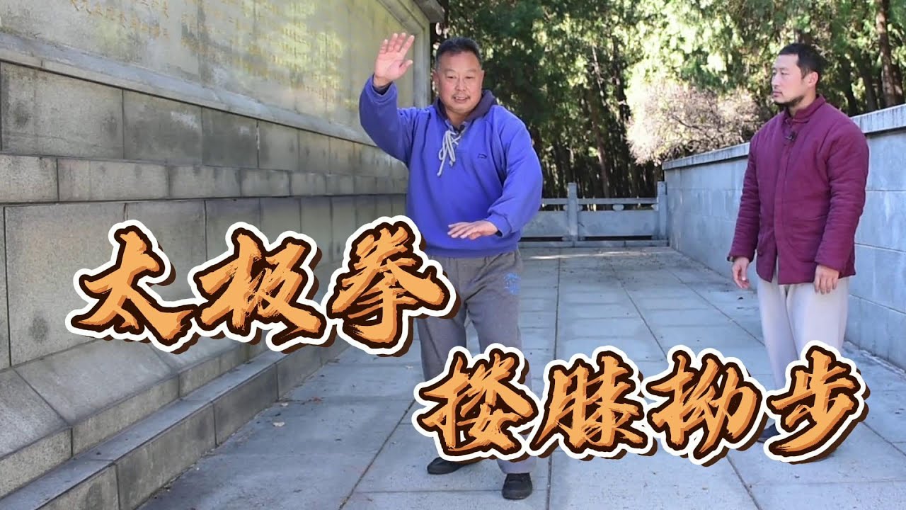 搂膝拗步与形意拳龙身鹰捉，两大内家拳异Taichi
