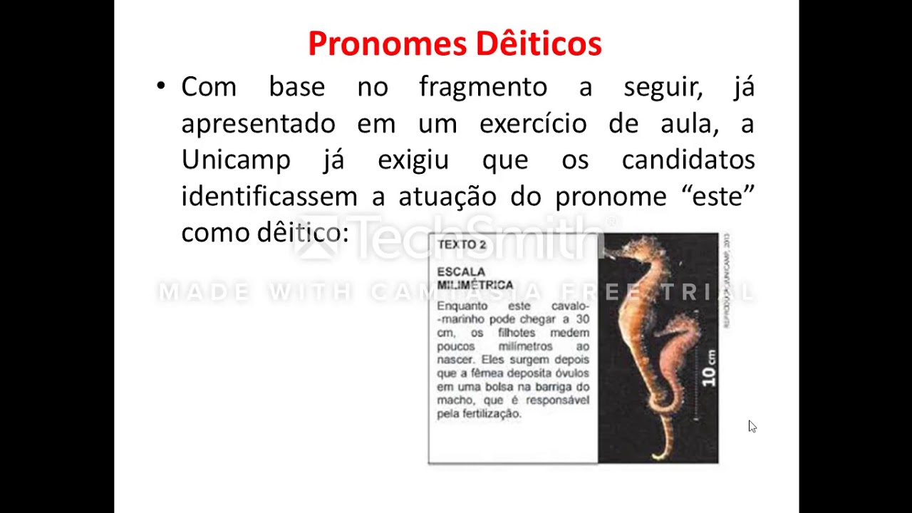 Pronomes dêiticos