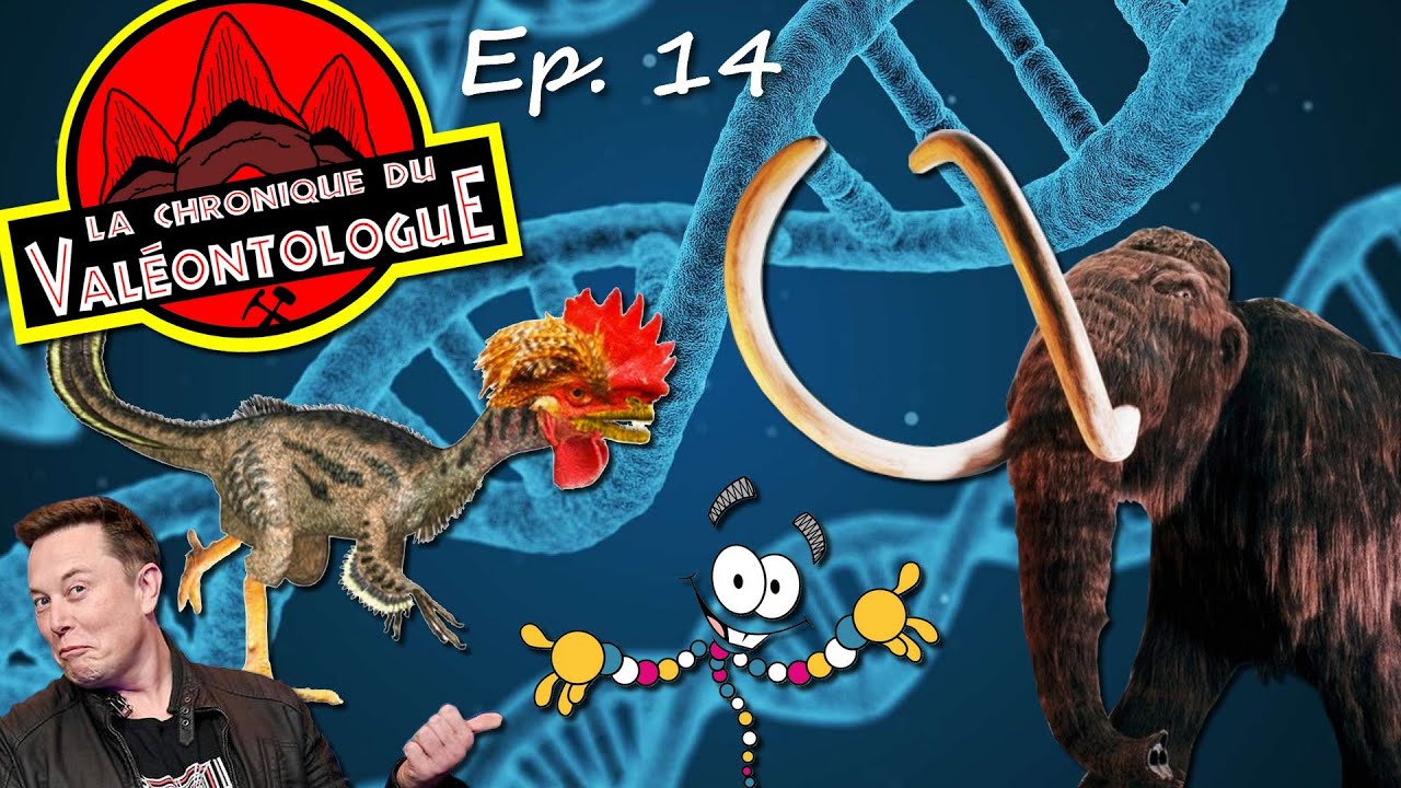 LCDV 14 - LA DÉSEXTINCTION : entre possible et devoir...