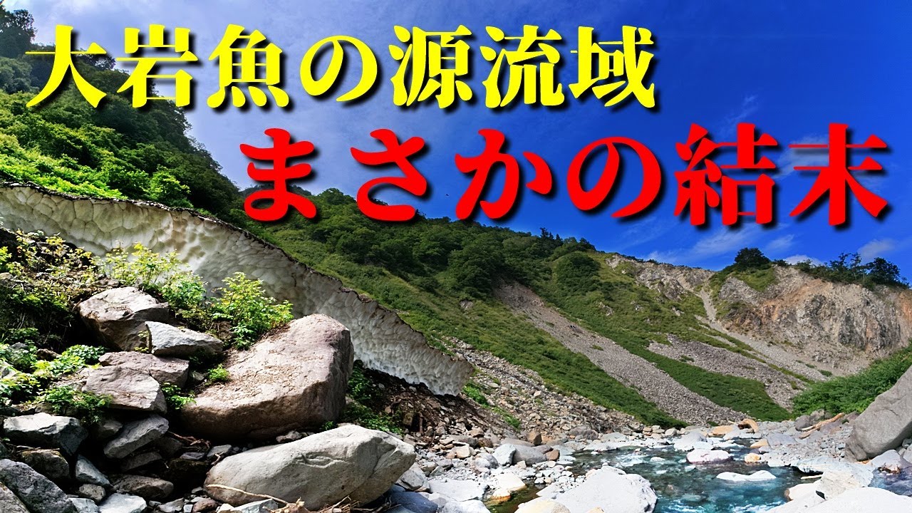 嫌な予感…｜爆釣の源流域に待っていた“予想外の結末”【渓流釣り】