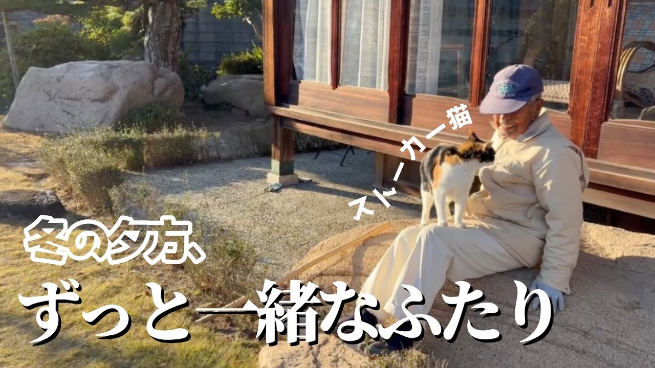 三毛猫とお爺が夕方庭で喋ってて、癒し空間生成してた