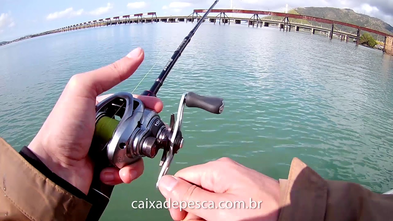 Corvina grande no camarão artificial em Laguna