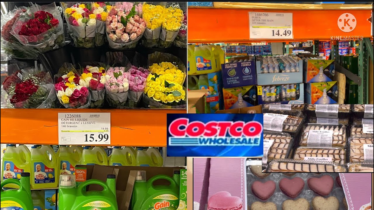 Costco shopping whats new shop 2022
