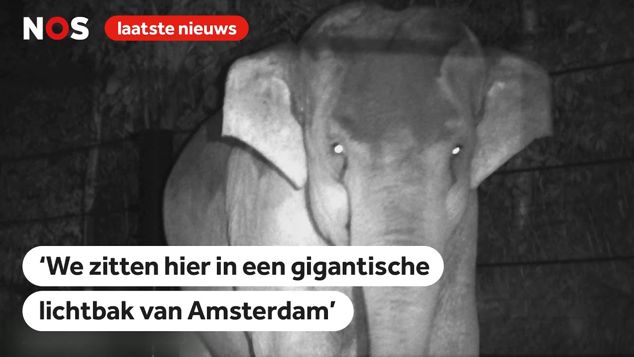 Artis doet als eerste dierentuin het licht uit