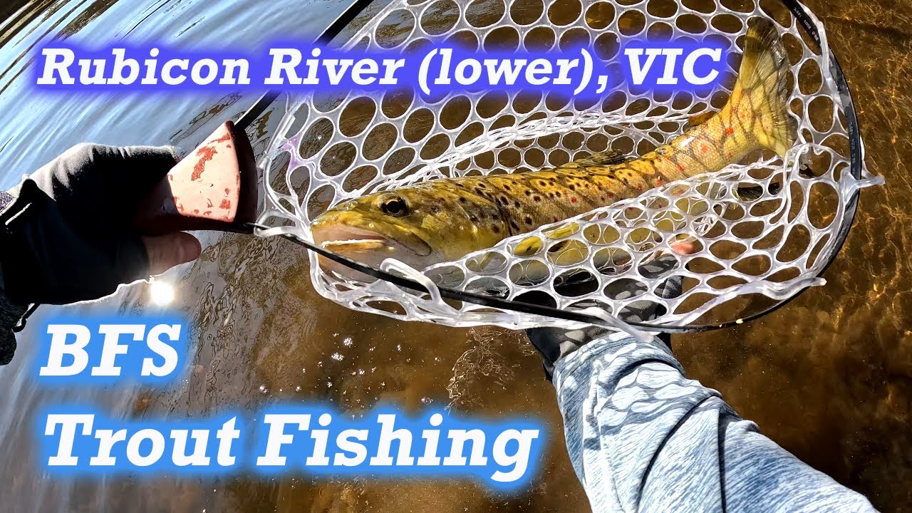Chasing Trout in Rubicon River (lower), Victoria AU | BFS fishing