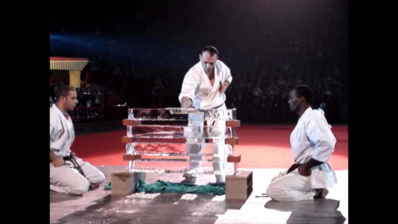 Emil Kostov - tamеshiwari, Paris - Bercy - 2008 / Емил Костов - тамeшивари, Париж - Берси, 2008