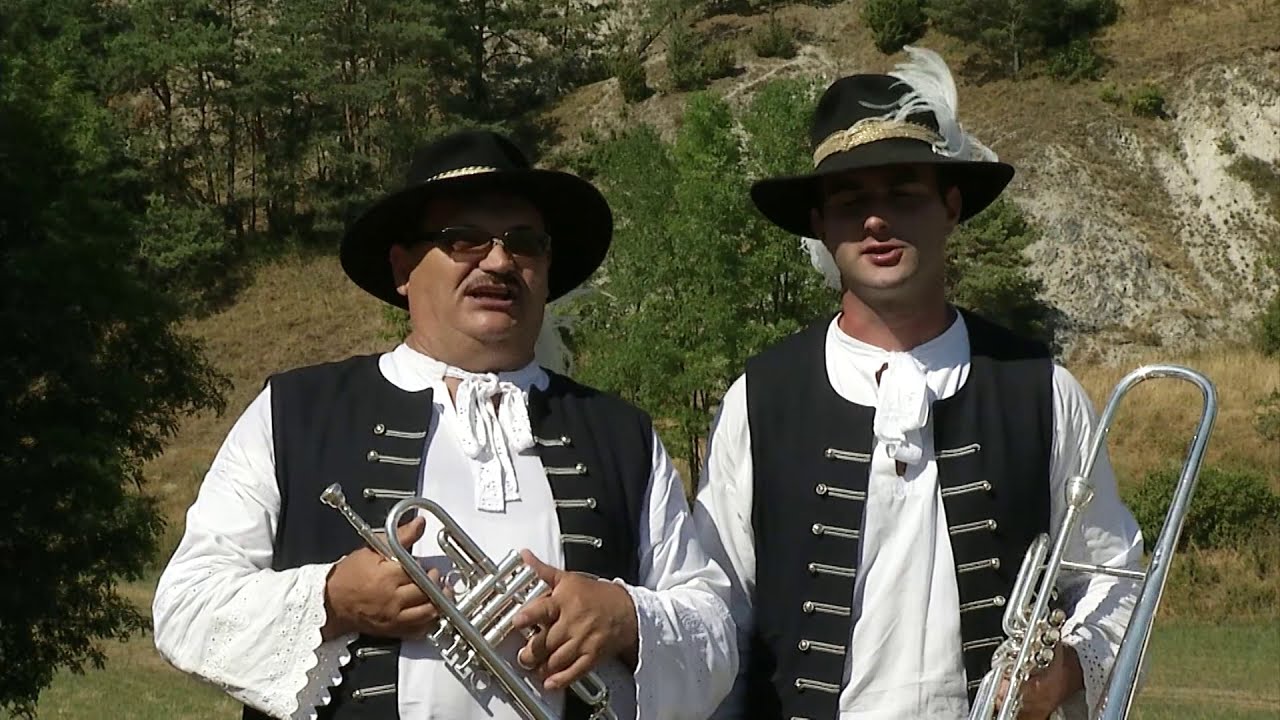 Borovienka - Borovienka borová