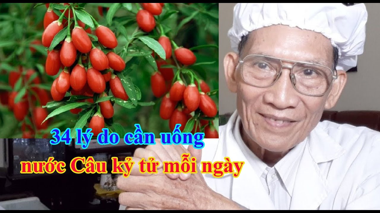 34 l&yacute; do cần uống nước C&acirc;u kỷ tử mỗi ng&agrave;y l Dr.Do Nguyen Thieu Official
