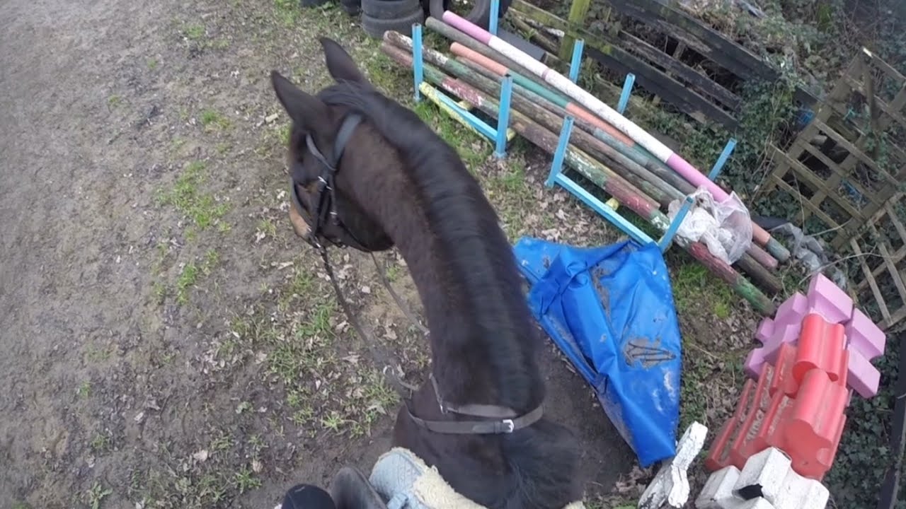 working on our bend || schooling || gopro
