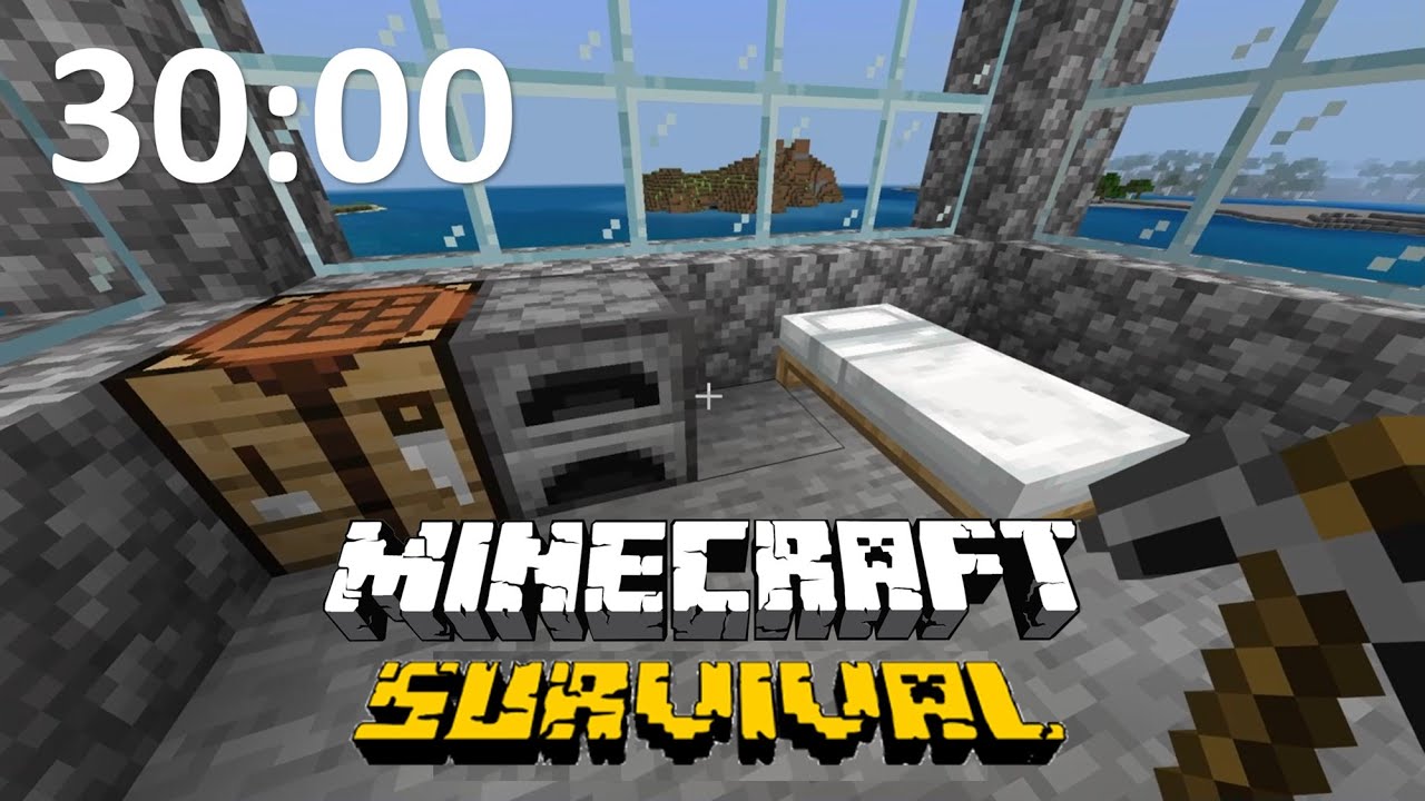 MINECRAFT SURVIVAL 30 MINUTE TIMER