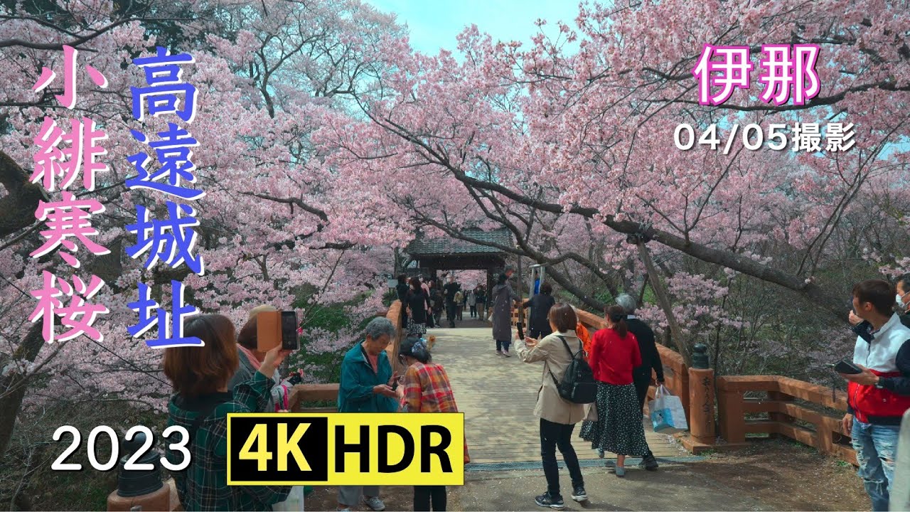 2023 美しき高遠城址公園の桜(4K-HDR) Beautiful Cherry Blossoms At Takato Castle Ruins (UHD-HDR)