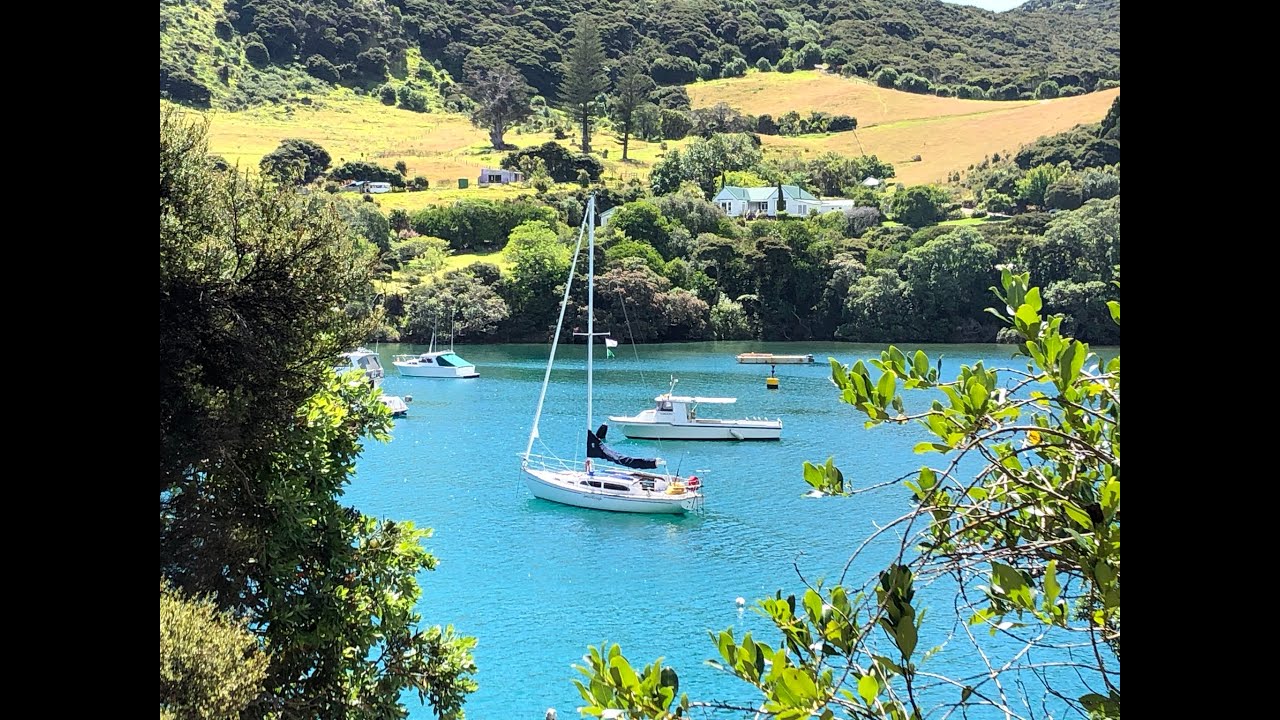 SeaWings sailing the Hauraki Gulf January 2021