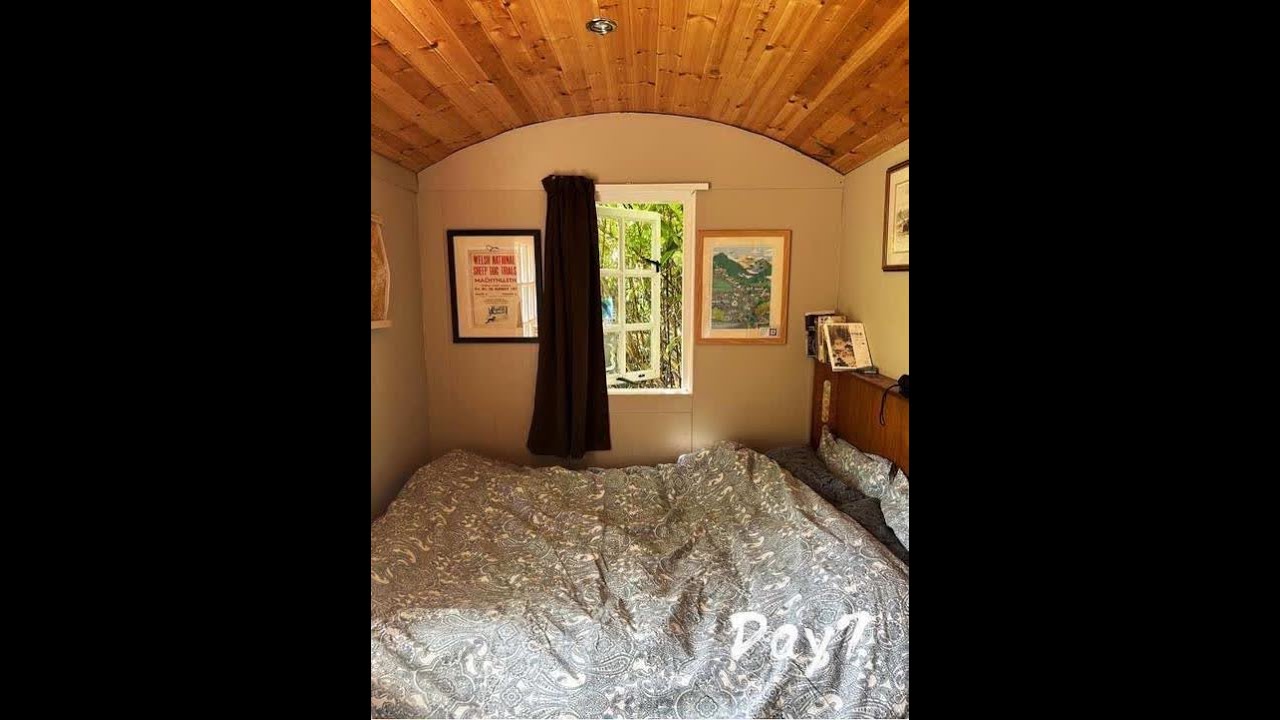 挑战在英国乡下林间小屋独居一个月 | 第七天 