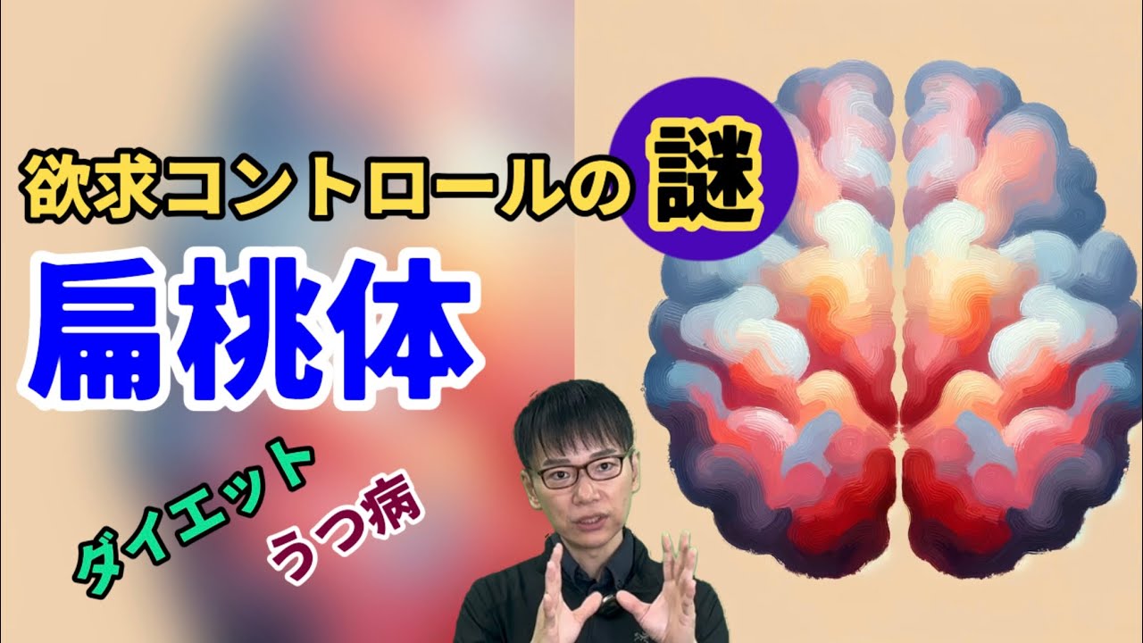 【扁桃体とは？】うつ病や肥満の治療のために。統合失調症やストレス 抑える 鍛える リハビリ