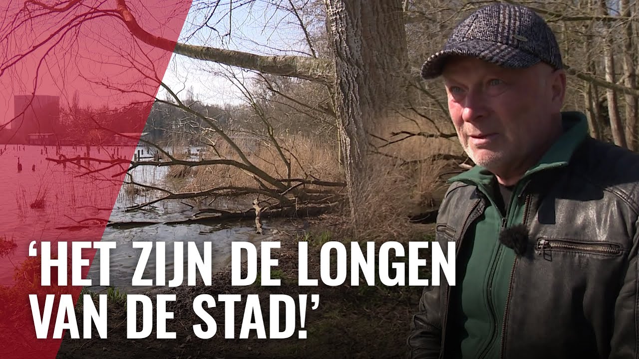 Bomenkap in Flevopark zorgt voor discussie