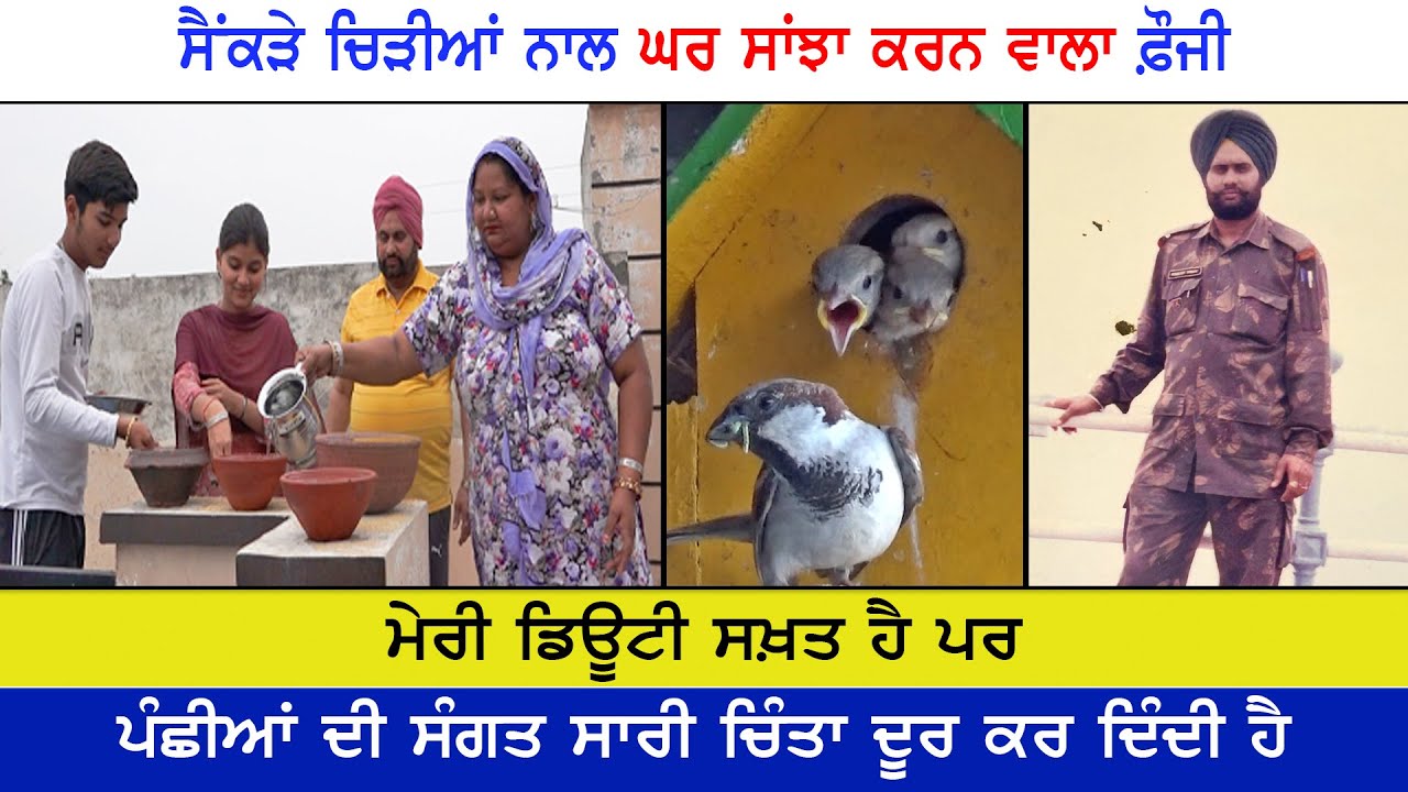 ਫ਼ੌਜੀ ਦੀ ਪੰਛੀਆਂ ਨੂੰ ਬਚਾਉਣ ਦੀ ਮੁਹਿੰਮ