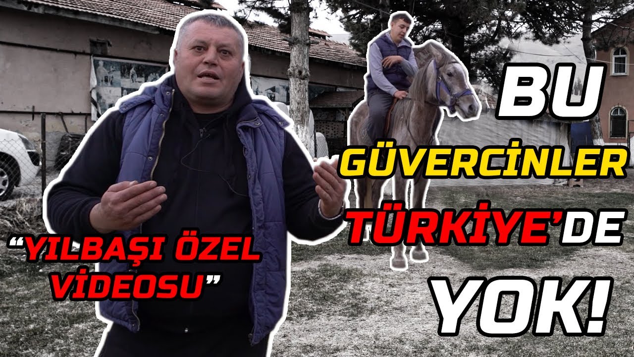 Ankara'nın En Büyük Rottweiler Köpek Çiftliği - Yılbaşı Özel Çiftlik Ziyareti 4K