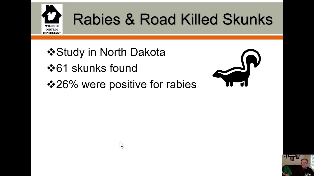 Handling Dead Animals Rabies & Carcass Decomposition
