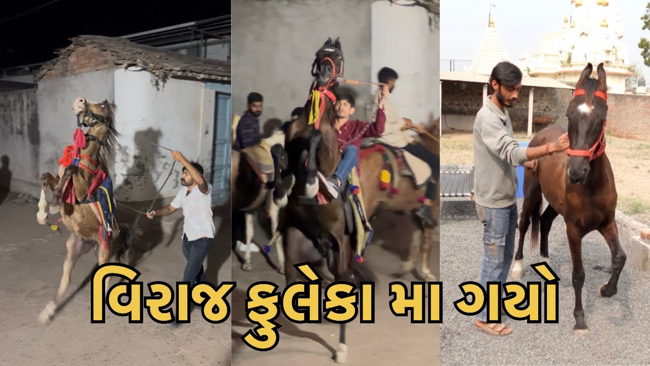 વિરાજ ગયો ફુલેકા મા 🐎 #viralvideo #vlog #villagevlog #viralvlog #gircow #kankrej #horse 