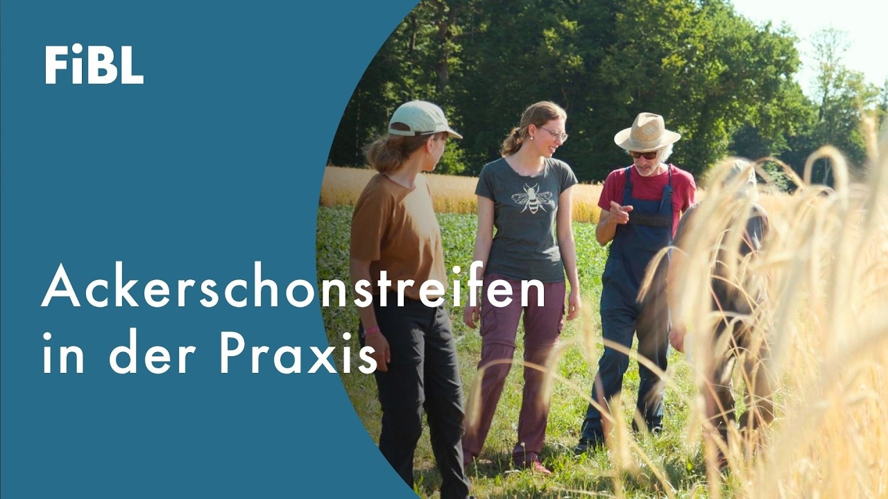Ackerschonstreifen – Praxiserfahrungen und Nutzen für die Biodiversität