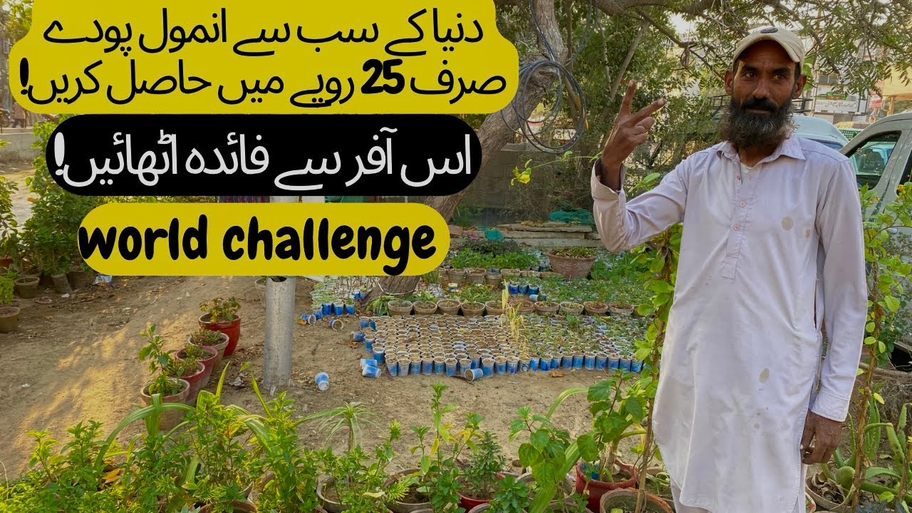 25 rupe me plants haseel karen sale lagadi karachi nursery cheapest price 2025😳